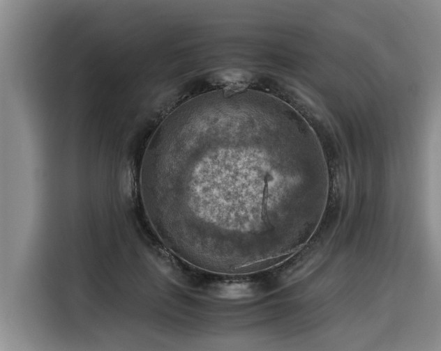 X0000116060651200911271243