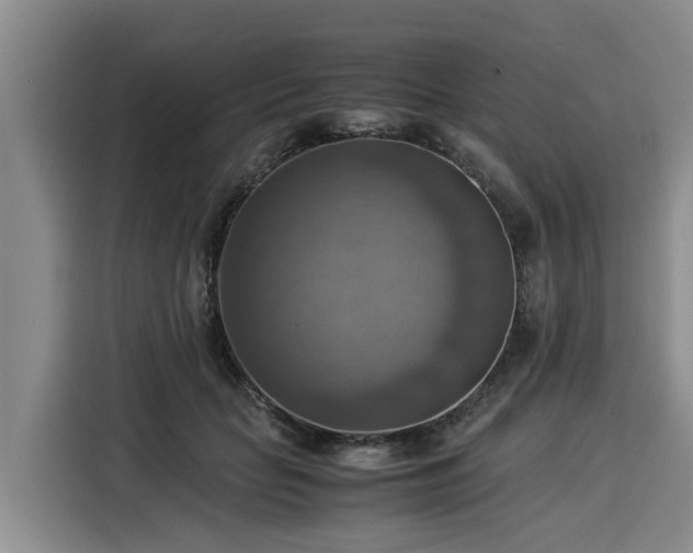 X0000116060653200911271243