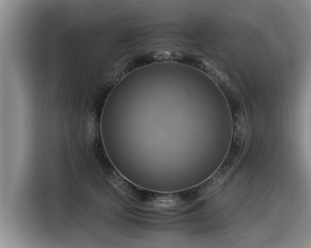 X0000116060659200911271243