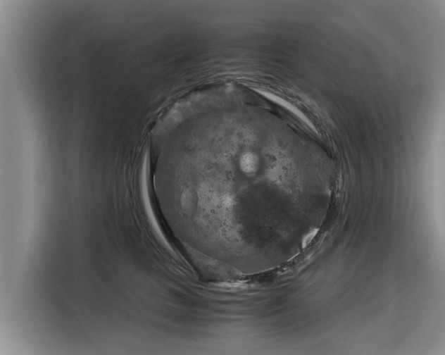 X0000116060661200911271243