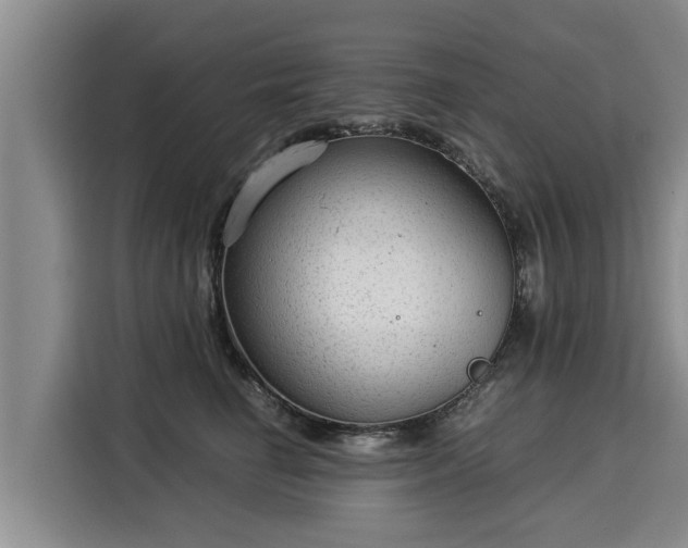 X0000116060662200911271243
