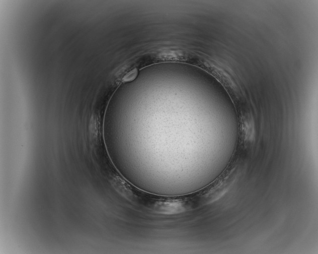 X0000116060665200911271243