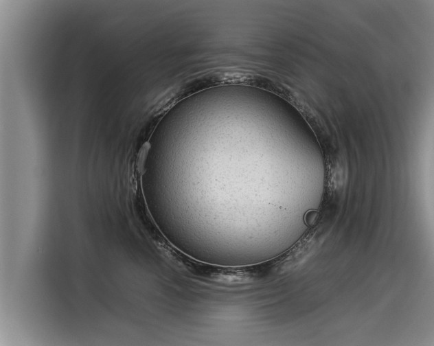 X0000116060666200911271243