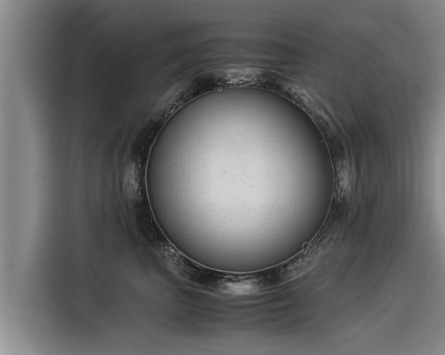 X0000116060667200911271243