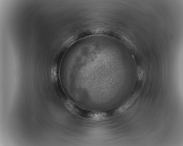 X0000116060670200911271244