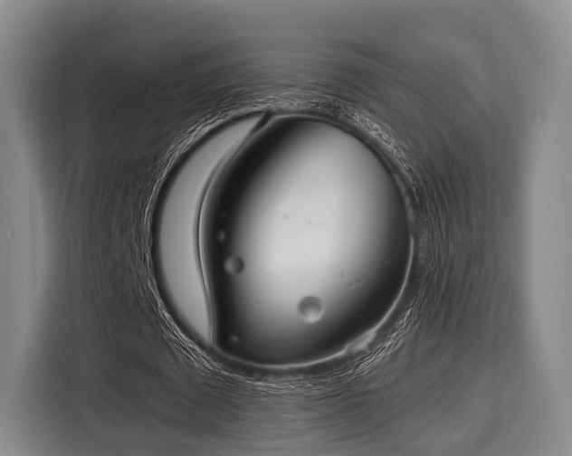 X0000116060673200911271243