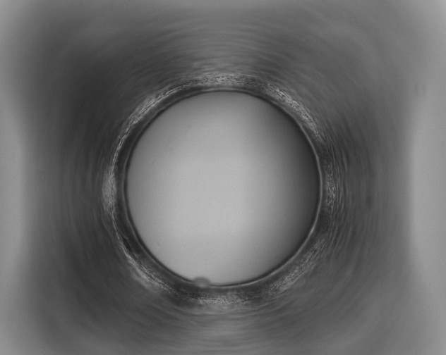 X0000116060674200911271243