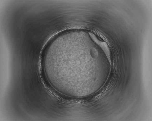 X0000116060676200911271243