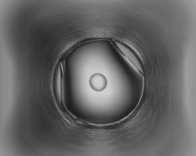 X0000116060677200911271243