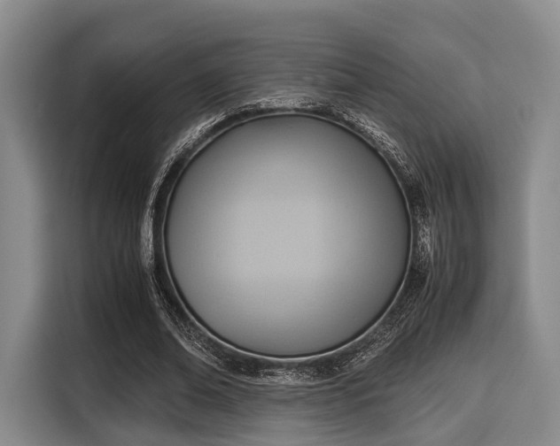 X0000116060678200911271243