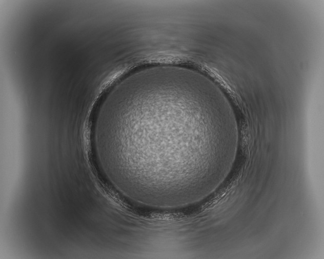 X0000116060679200911271243