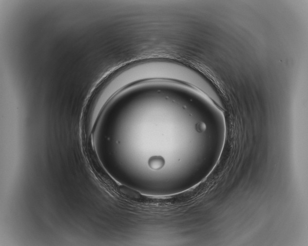 X0000116060680200911271243