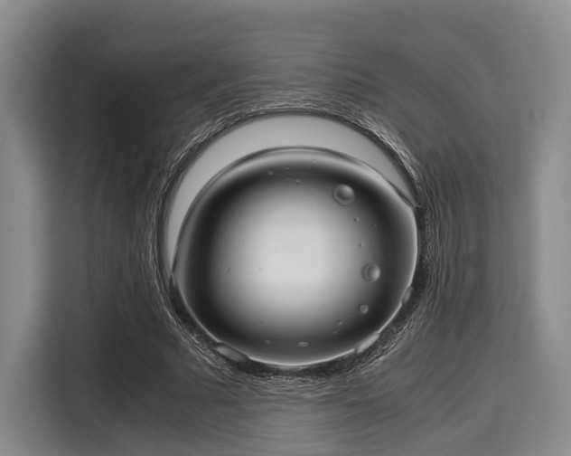 X0000116060681200911271243