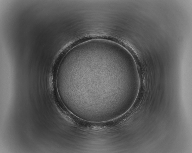 X0000116060684200911271243