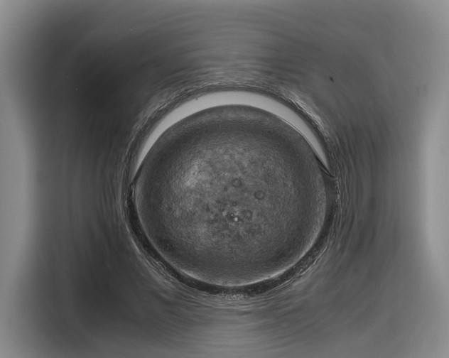 X0000116060685200911271243