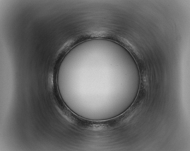 X0000116060686200911271243