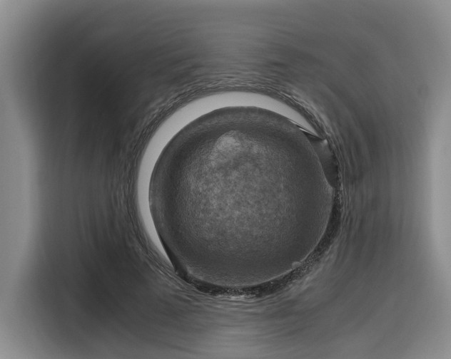 X0000116060689200911271243