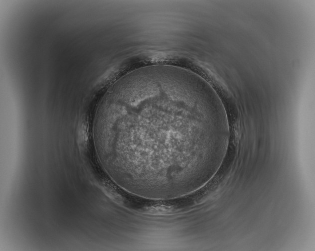 X0000116060691200911271243
