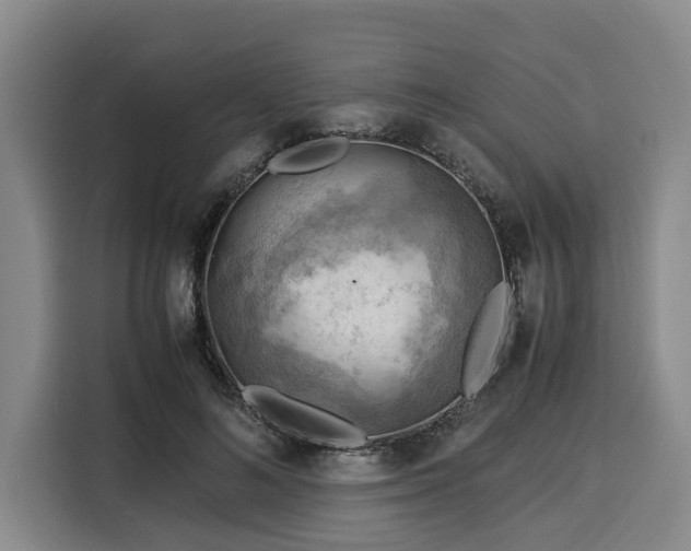 X0000116060692200911271243