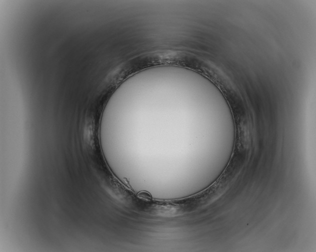 X0000116060698200911271243