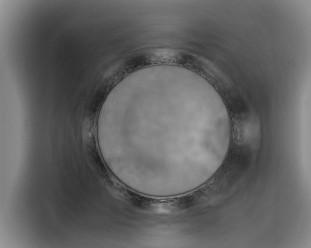 X0000116060701200911271243