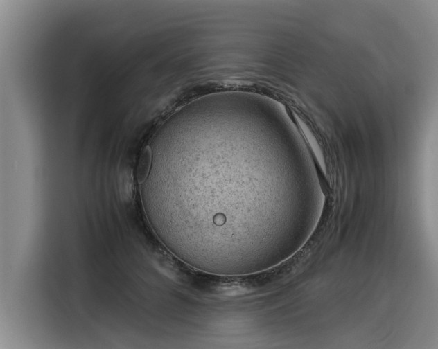 X0000116060704200911271243