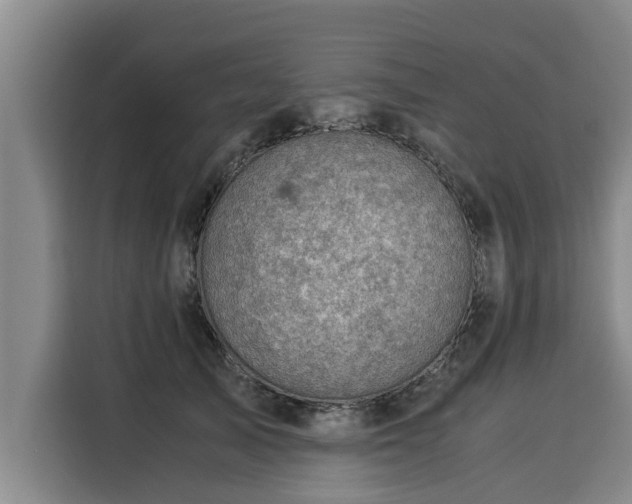 X0000116060705200911271243