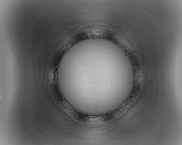 X0000116060709200911271242