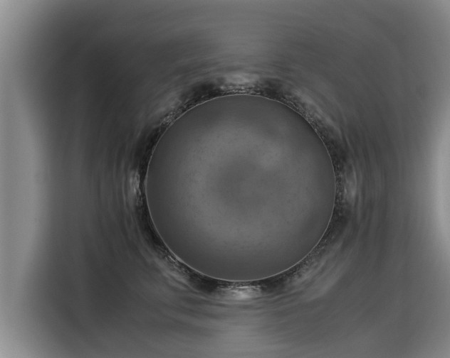 X0000116060711200911271242