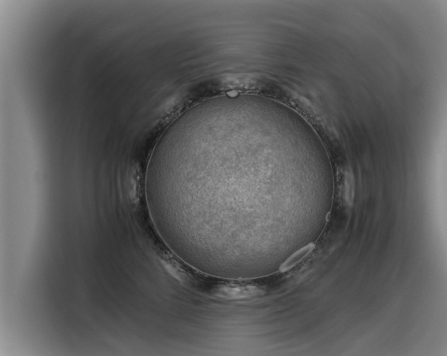 X0000116060712200911271242