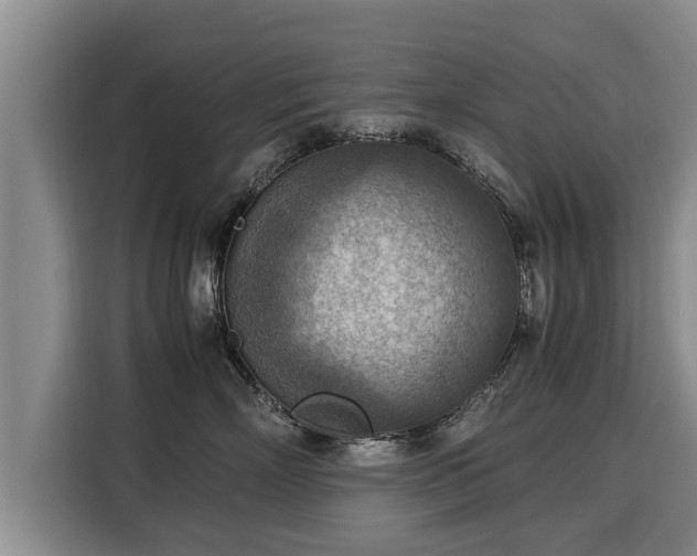 X0000116060718200911271242