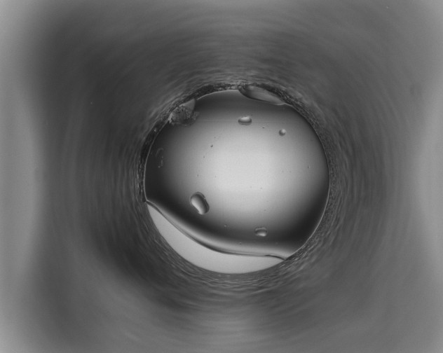 X0000116060720200911271242
