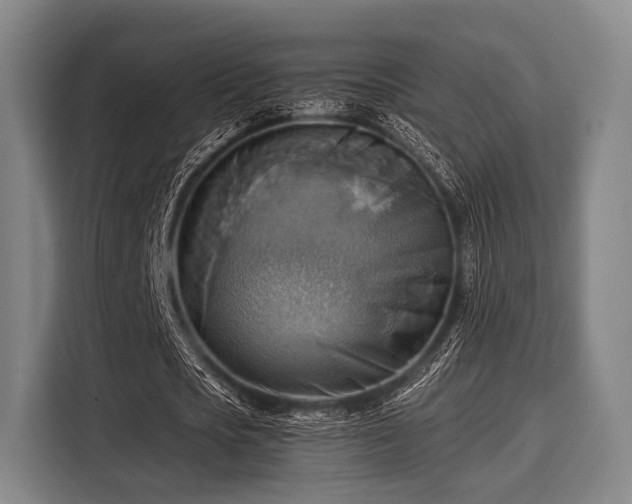 X0000116060721200911271242
