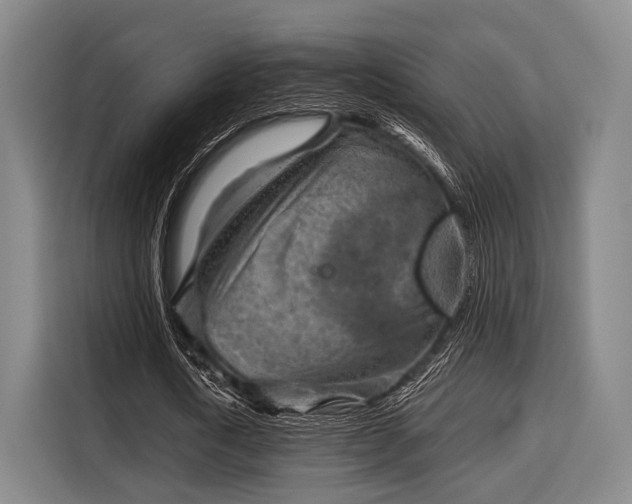 X0000116060722200911271242