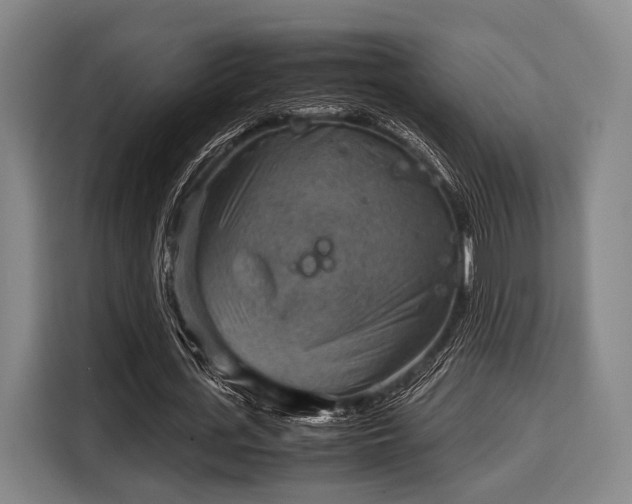 X0000116060723200911271242