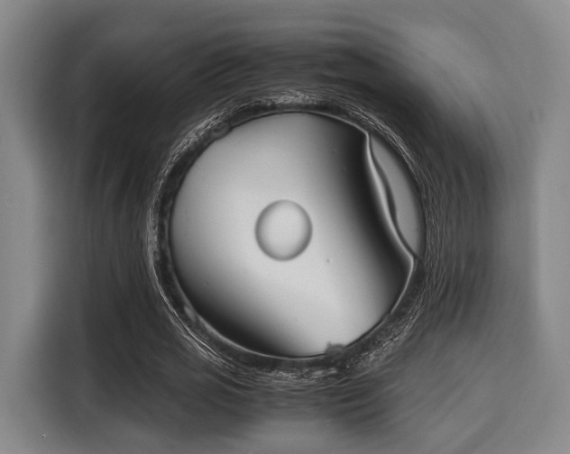 X0000116060725200911271242