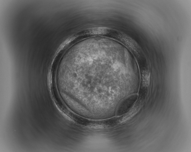 X0000116060726200911271242