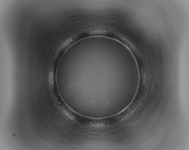 X0000116060729200911271242
