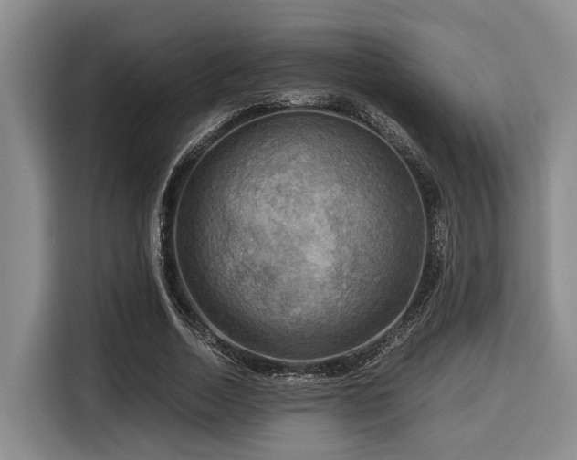 X0000116060730200911271242
