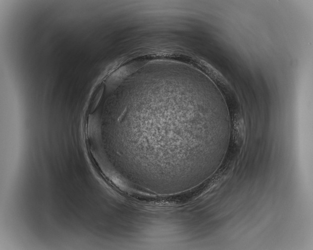X0000116060734200911271242