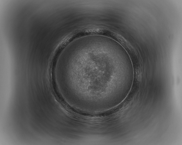 X0000116060735200911271242