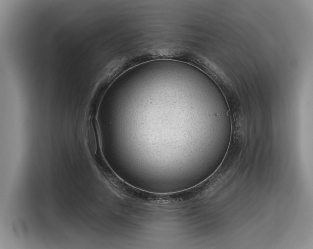 X0000116060738200911271242