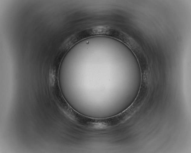 X0000116060741200911271242