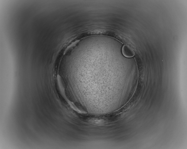 X0000116060743200911271242
