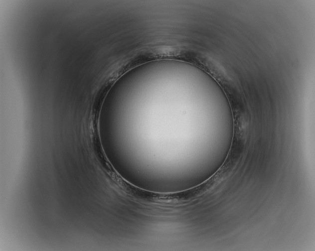 X0000116060746200911271242