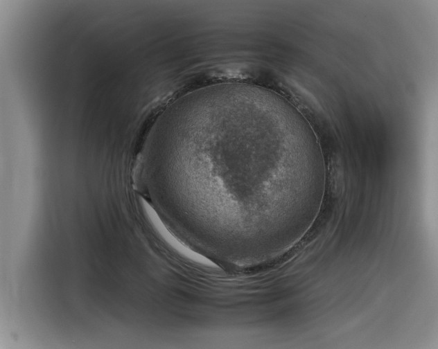 X0000116060747200911271242
