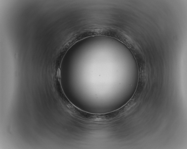 X0000116060750200911271242