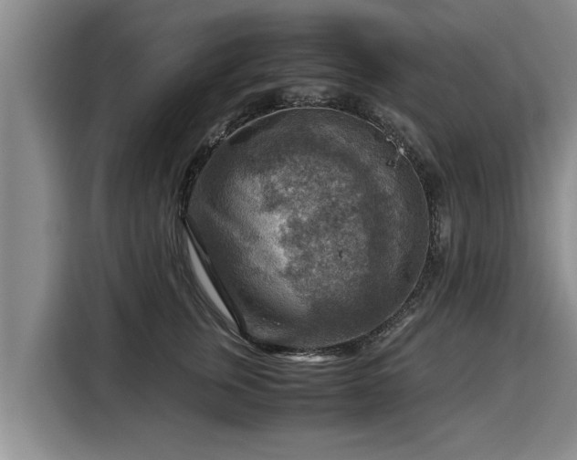 X0000116060759200911271242
