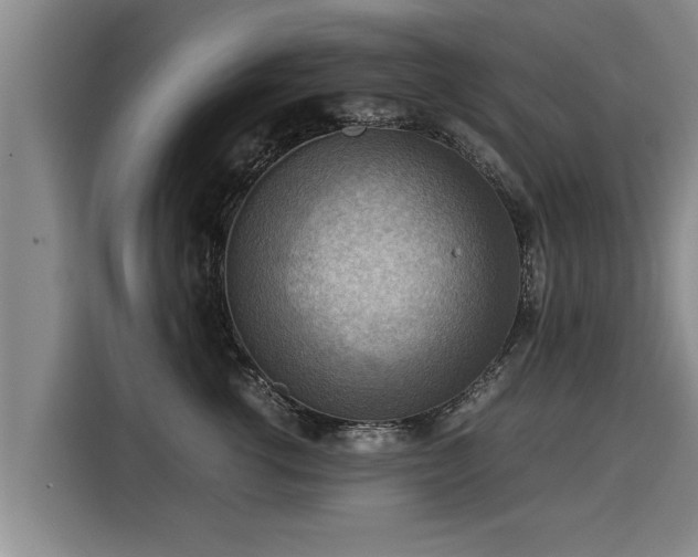 X0000116060762200911271242
