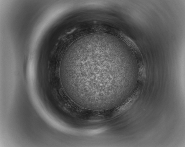 X0000116060765200911271242